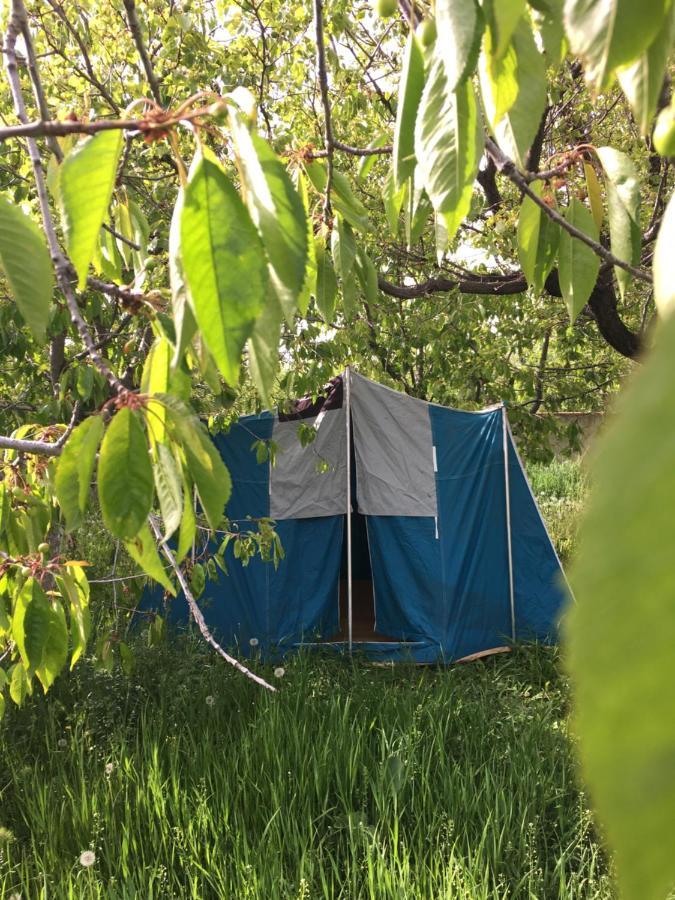 Apple Tree Family Home Dzorakap Zewnętrze zdjęcie